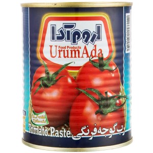 رب گوجه فرنگی 800 قوطی ابی اروم ادا