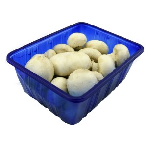 قارچ 400 گرمی یکتا