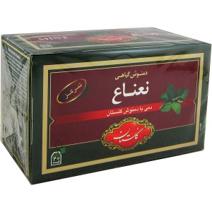 دم نوش گیاهی 20 عددی نعناع گلستان