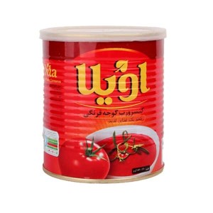 رب گوجه 800گ اویلا
