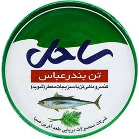 تن ماهی با شوید 180گ ساحل