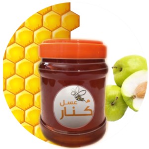 عسل ارگانیک1ک کنار کوشاه