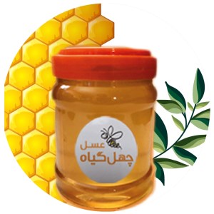 عسل ارگانیک 500گ چهل گیاه کوشاه